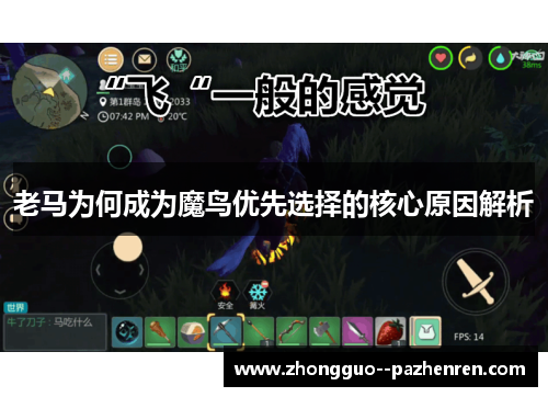 老马为何成为魔鸟优先选择的核心原因解析 老马为何成为魔鸟优先选择的核心原因解析
