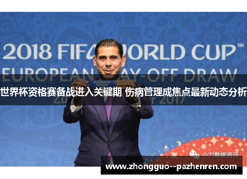 世界杯资格赛备战进入关键期 伤病管理成焦点最新动态分析